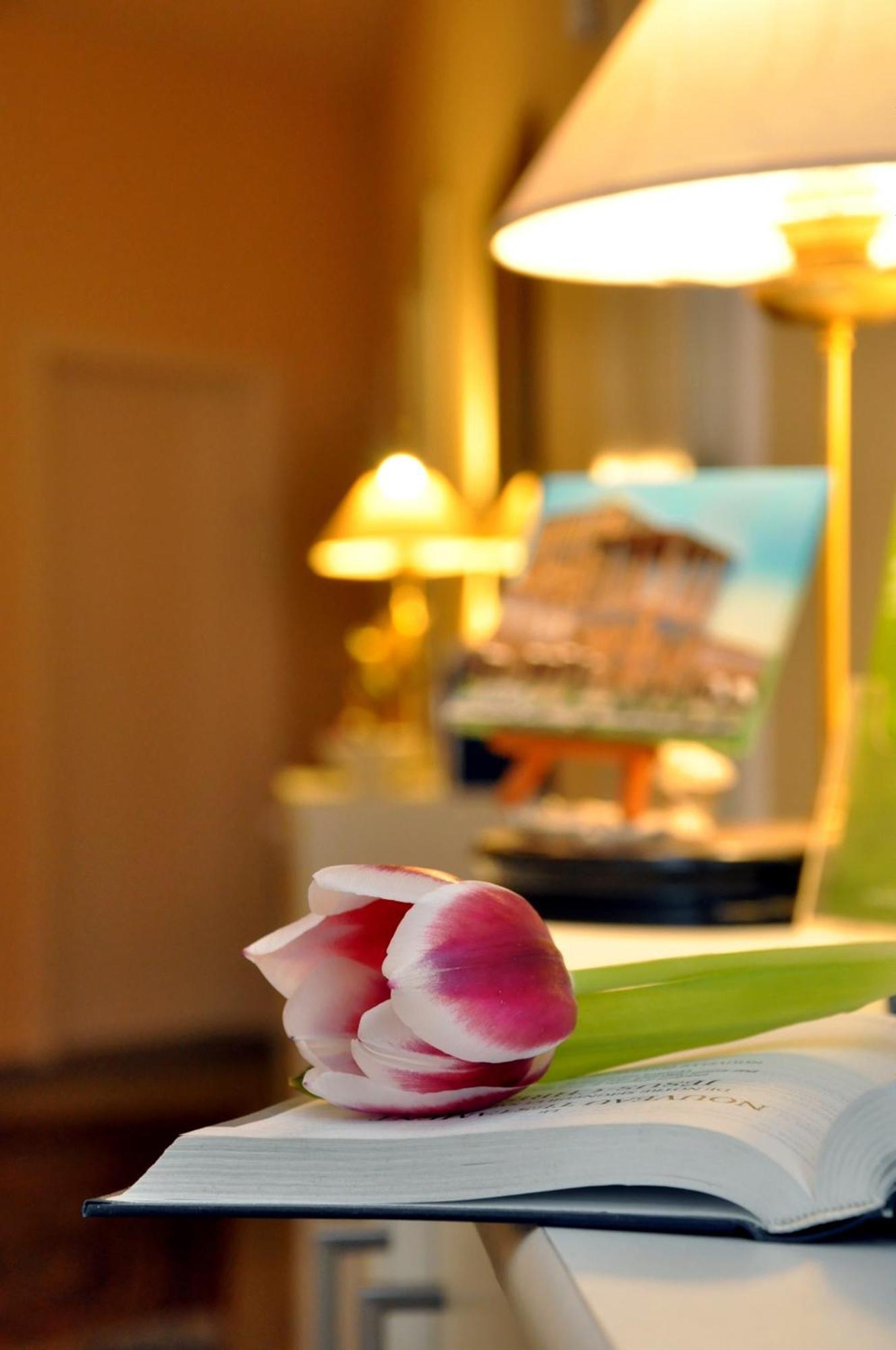 Hotel Apadana Frankfurt Φραγκφούρτη Εξωτερικό φωτογραφία